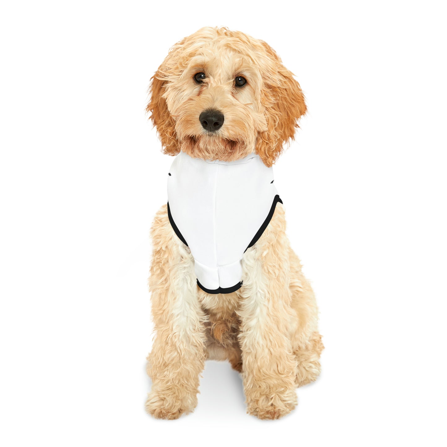 Jr Ceo - Pet Hoodie