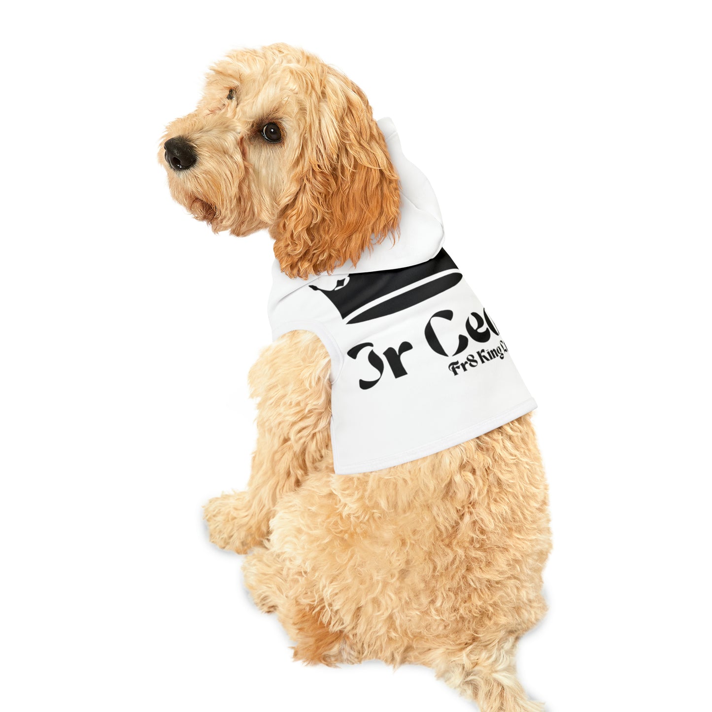 Jr Ceo - Pet Hoodie